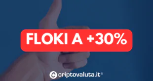 FLOKI +30