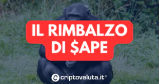 Ape rimbalza