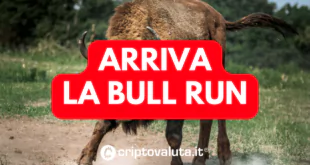 Bull Ru Bitcoin Crypto