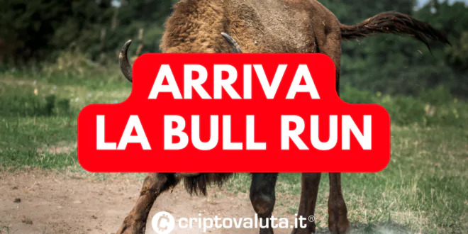 Bull Ru Bitcoin Crypto