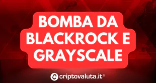 BOMBA GRAYSCALE