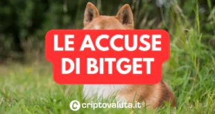 ACCUSE BITGET