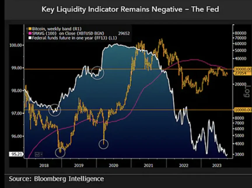 Bitcoin Bloomberg