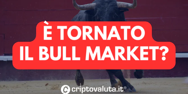 bull market btc
