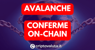 avalanche - on-chain