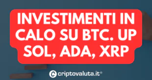 INVESTIMENTI CALO