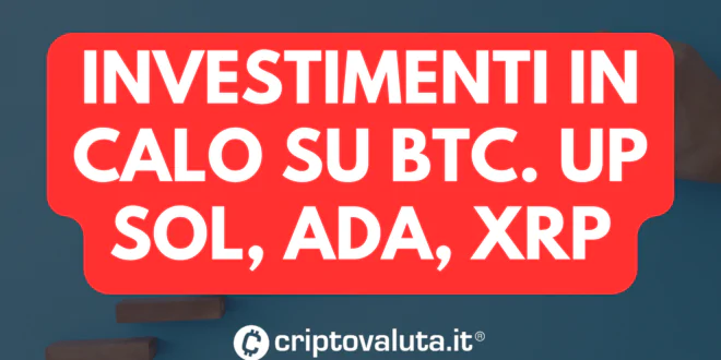 INVESTIMENTI CALO