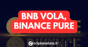 BNB VOLA BINANCE