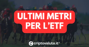 ULTIMI METRI