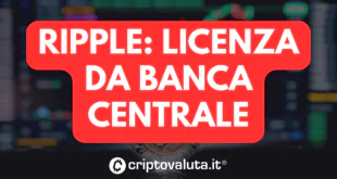 RIPPLE LICENZA