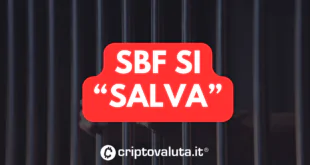 SBF SALVO