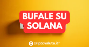 BUFALA SOLANA