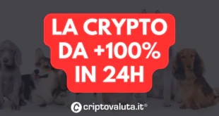 CRYPTO 100%