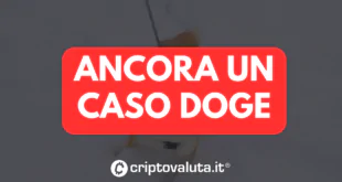 ANCORA CASO DOGE