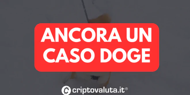 ANCORA CASO DOGE