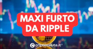 MAXI FURTO RIPPLE