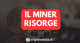 MINER RISORGE ANALISI