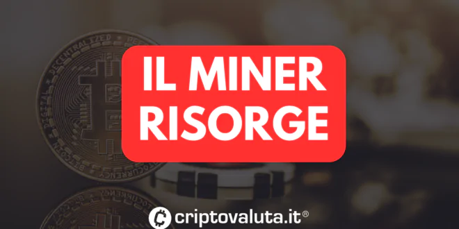 MINER RISORGE ANALISI