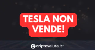 TESLA BITCOIN VENDE