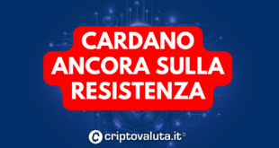 CARDANO