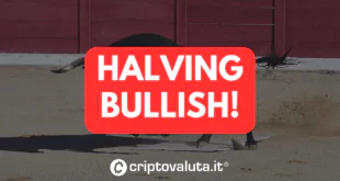 HALVING BULL