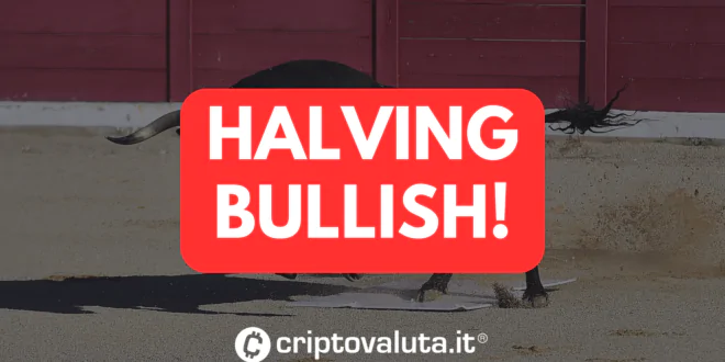 HALVING BULL