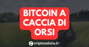 BITCOIN ORSI