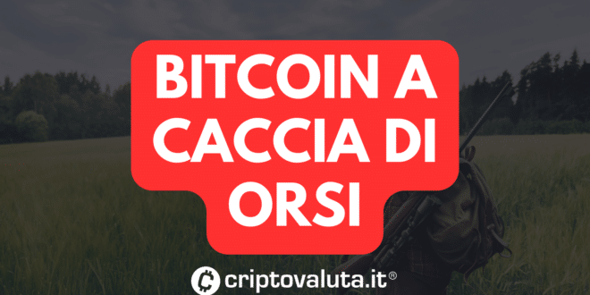 BITCOIN ORSI