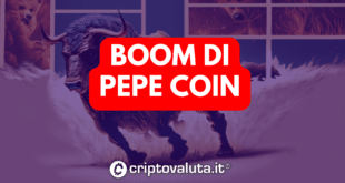 PEPE COIN