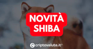 SHIBA NOVITA