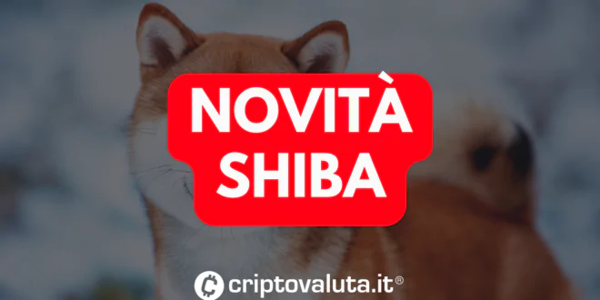 SHIBA NOVITA