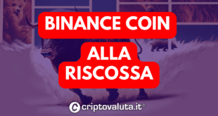 BINANCE COIN