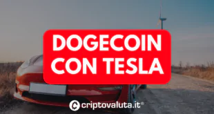 DOGECOIN TESLA