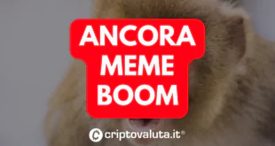 ANCORA MEME BOOM