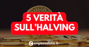 verita halving