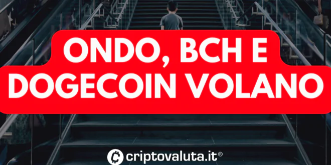 ONDO BITCOIN DOGECOIN