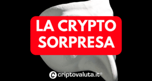 CRYPTO SORPRESA