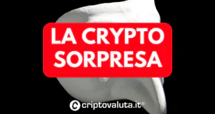 CRYPTO SORPRESA