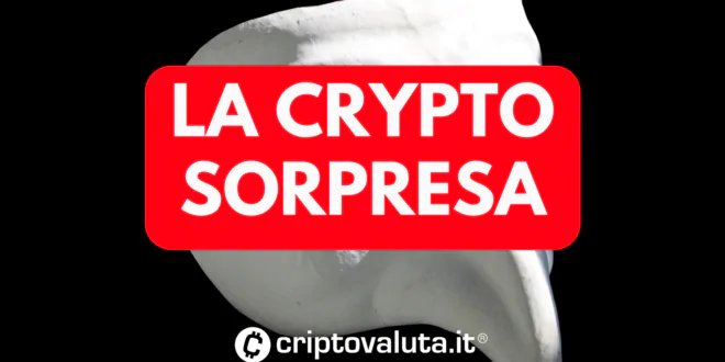 CRYPTO SORPRESA