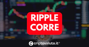 CORSA RIPPLE