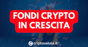 FONDI CRYPTO UP