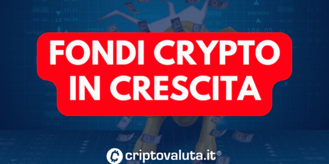 FONDI CRYPTO UP