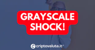 GRAYSCALE SHOCK