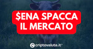 ENA SPACCA MERCATO