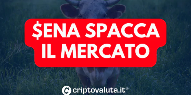 ENA SPACCA MERCATO