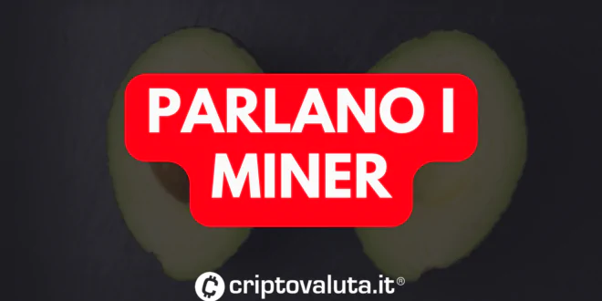 PARLANO MINER