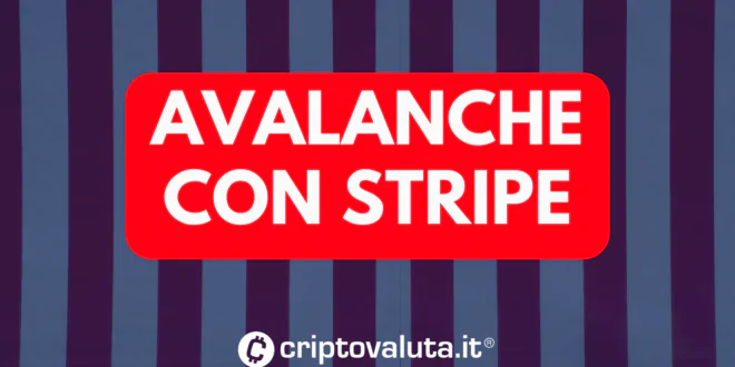 AVALANCHE STRIPE