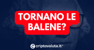 TORNANO BALENE