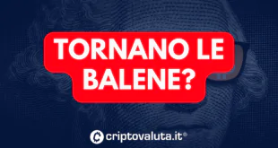 TORNANO BALENE