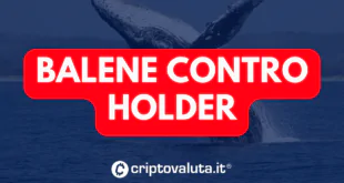 BALENE CONTRO HOLDER